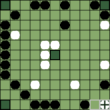 hnefatafl board