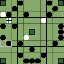 hnefatafl board