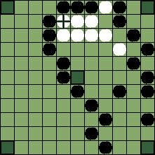 hnefatafl board