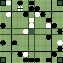 hnefatafl board