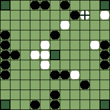 hnefatafl board