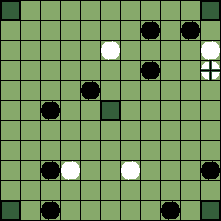 hnefatafl board