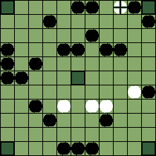 hnefatafl board