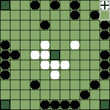 hnefatafl board