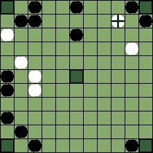 hnefatafl board