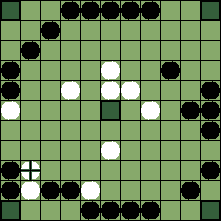 hnefatafl board