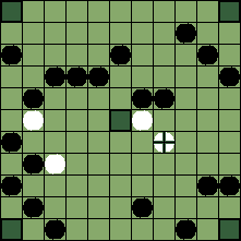 hnefatafl board