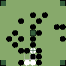 hnefatafl board