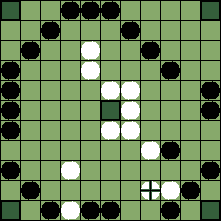 hnefatafl board