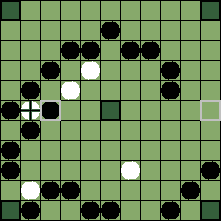 hnefatafl board