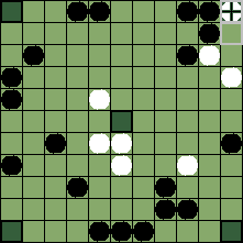 hnefatafl board