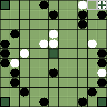 hnefatafl board