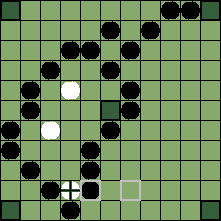 hnefatafl board