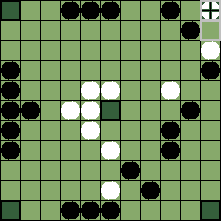 hnefatafl board