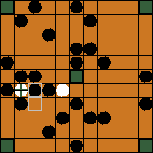 hnefatafl board