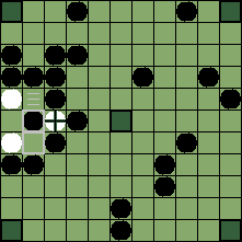 hnefatafl board