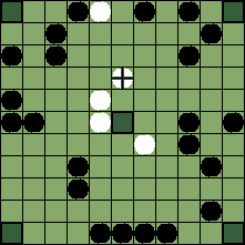 hnefatafl board