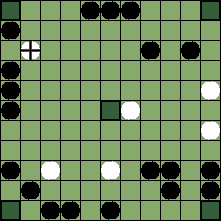 hnefatafl board