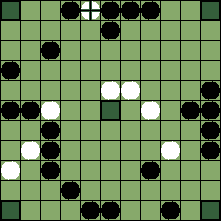 hnefatafl board