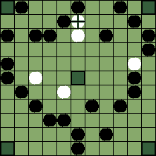 hnefatafl board