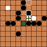 hnefatafl board