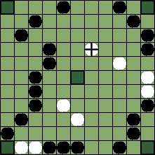 hnefatafl board