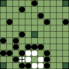 hnefatafl board