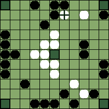 hnefatafl board