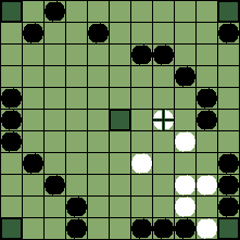 hnefatafl board