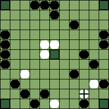 hnefatafl board