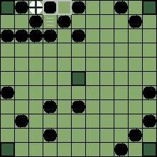 hnefatafl board