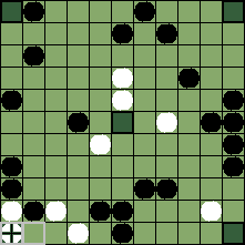 hnefatafl board