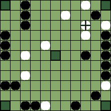 hnefatafl board