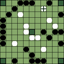 hnefatafl board