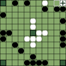 hnefatafl board