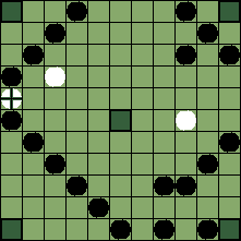 hnefatafl board