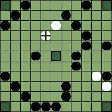 hnefatafl board