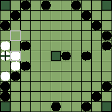 hnefatafl board