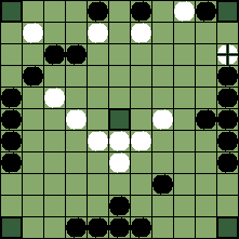 hnefatafl board