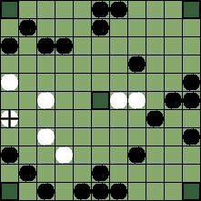 hnefatafl board