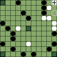 hnefatafl board