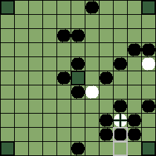 hnefatafl board