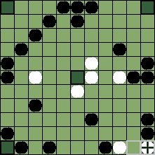 hnefatafl board