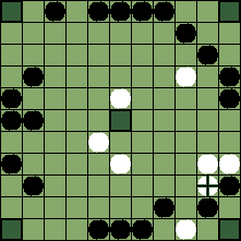 hnefatafl board