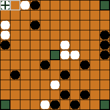 hnefatafl board