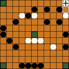 hnefatafl board