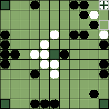 hnefatafl board