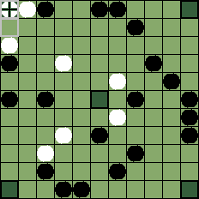 hnefatafl board