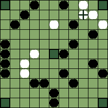 hnefatafl board