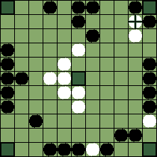 hnefatafl board